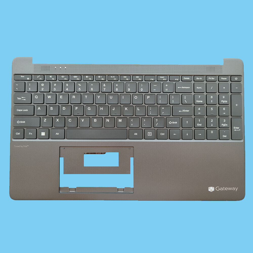 New For Gateway 156 GWTN156-1 GWTN156-4 GWTN156-5 Keyboard Palmrest Gary US