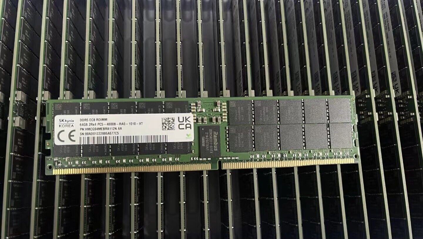 SKhynix PC5-4800B-RA0-1010-XT EC8 64GB RDIMM DDR5 2R*4 Support gigabyte ms73-lm0