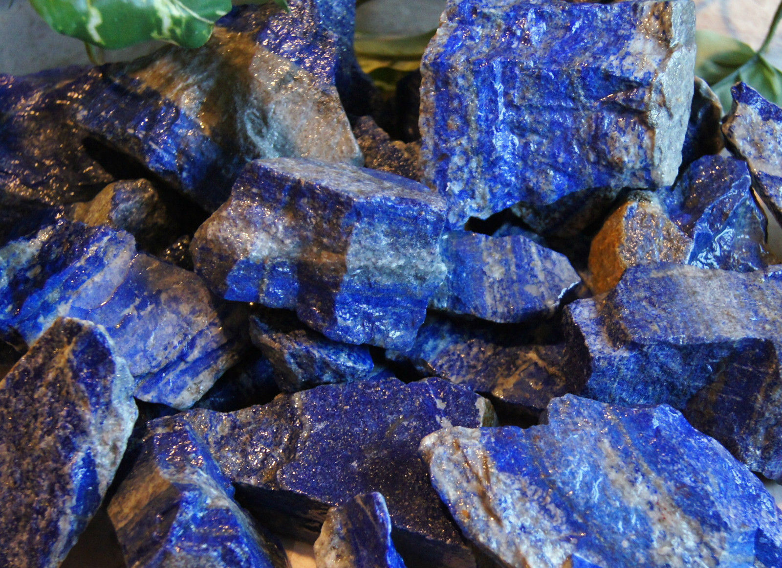 Lapis lazuli 1/2 LB Lot Gemstones Minerals Specimens Cabbing Rough Lapidary rock