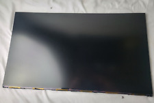 Acer Aopen 24CV1Ya Lcd Screen Display KL.2380T.021 LMF240CSDX E0070 picture