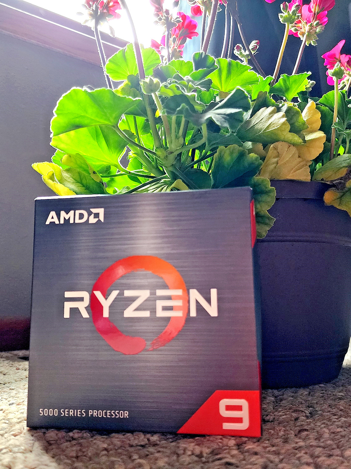 AMD Ryzen 9 5900X Desktop Processor (4.8GHz, 12 Cores, Socket AM4) w/ Box -...