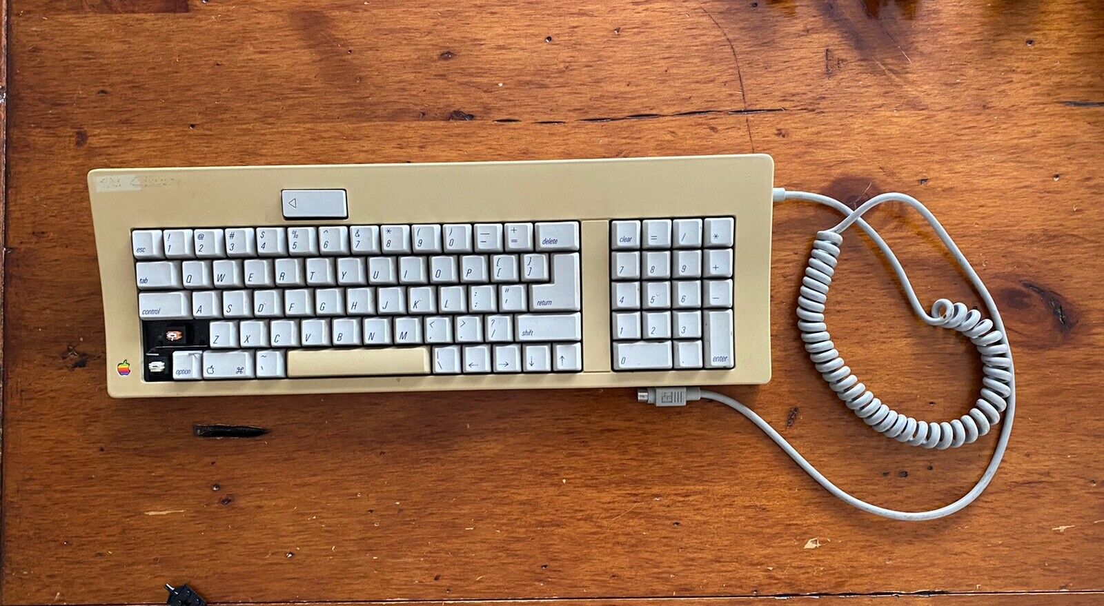 Vintage Apple Model M0116 Standard Keyboard - Untested Missing Keys