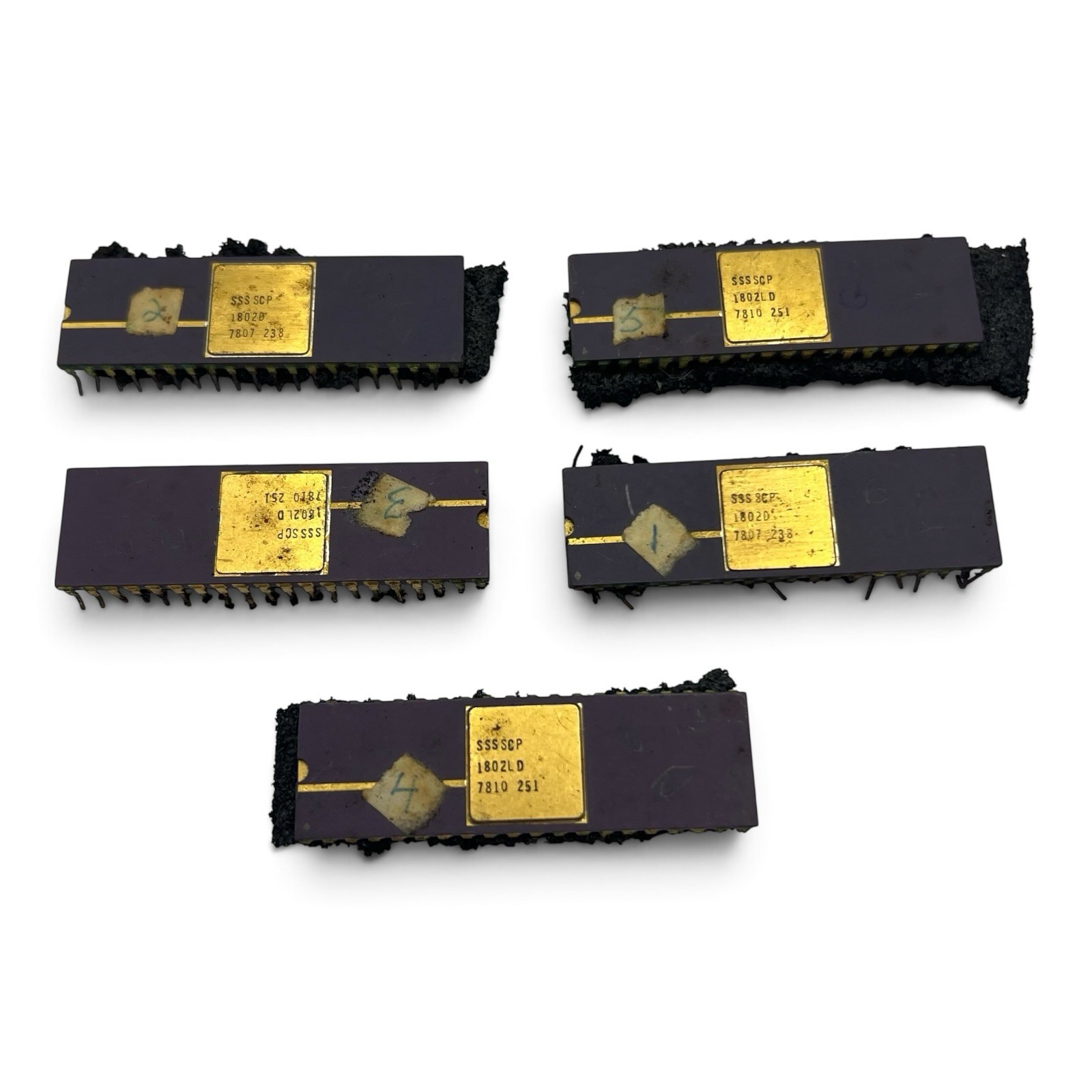 5x Vintage SSS SCP1802D SCP1802LD Ceramic CPU 1802 COSMAC 1978 Gold IC 5x Vintage SSS SCP1802D SCP1802LD Ceramic CPU 1802 COSMAC 1978 Gold IC