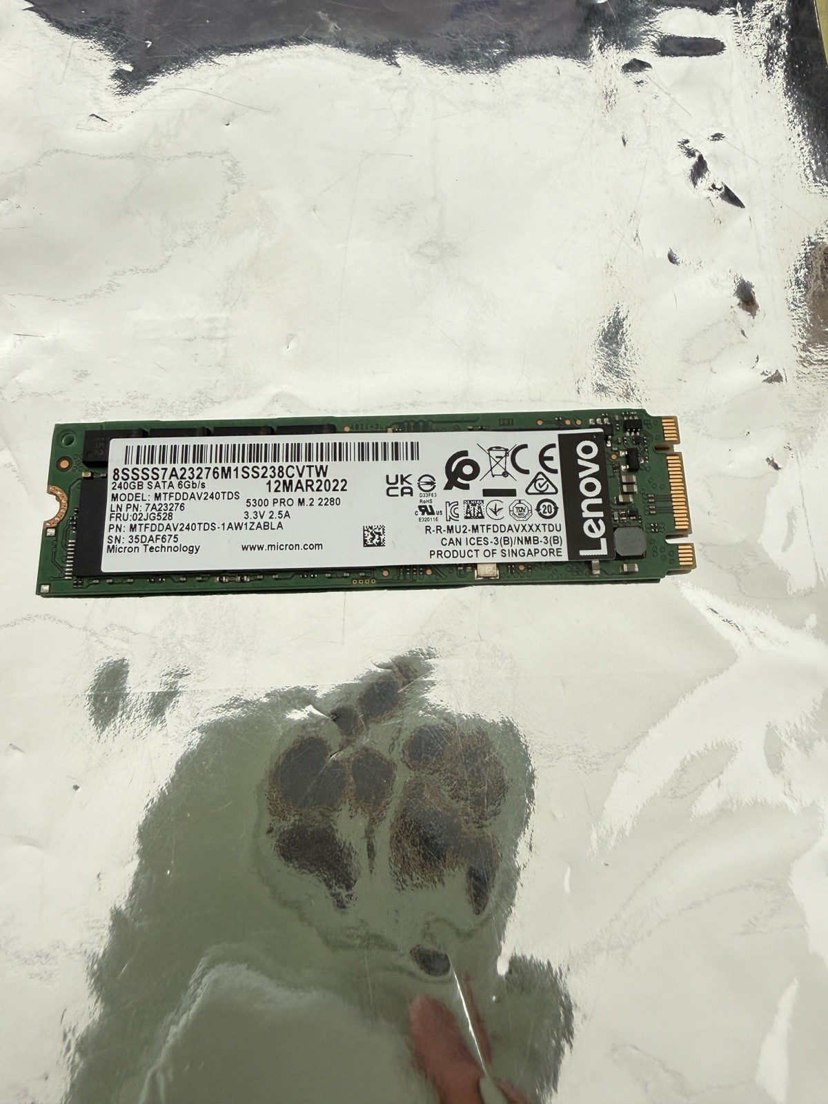Lenovo OEM M.2 5300 240GB SATA 6Gbps Non-Hot Swap SSD mtfddav240tds Lenovo OEM M.2 5300 240GB SATA 6Gbps Non-Hot Swap SSD mtfddav240tds