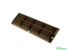 256MB (128MB x 2) 72 Pin FPM Memory SIMM 5V 60ns picture